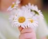 Celebrate Mothers Day @ Macquarie Park Salvos