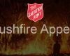 Bushfire appeal