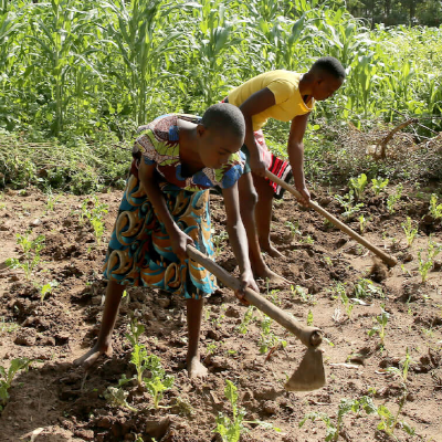 Two individuals working in a farm field